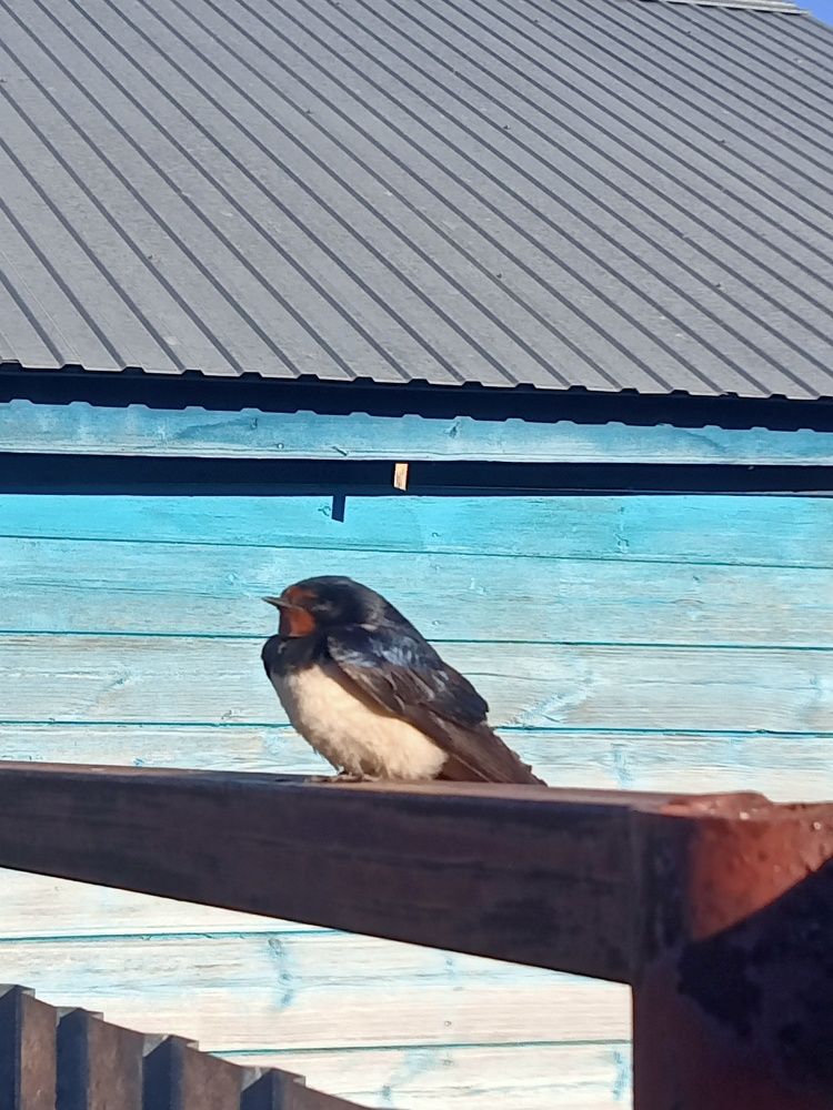 Photograph by Ольга Сергеева