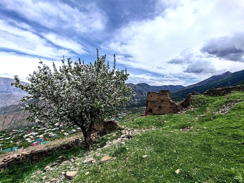 Photograph by Анна Горичева