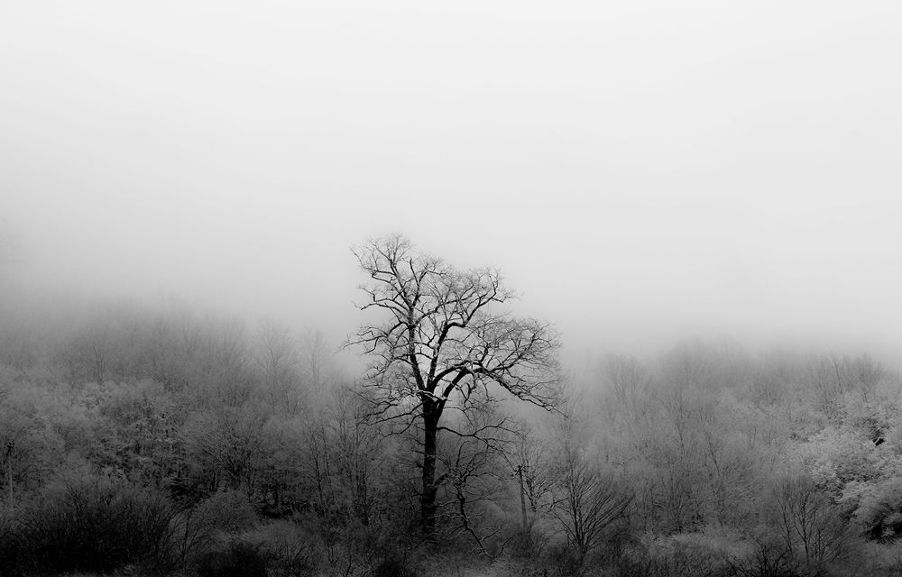 Photograph by hasan sorena jouri
