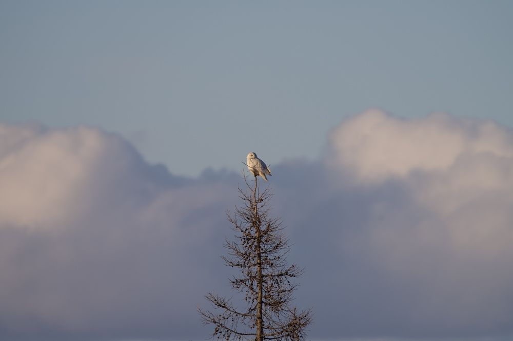 Фотография автора Viktoriya Kim