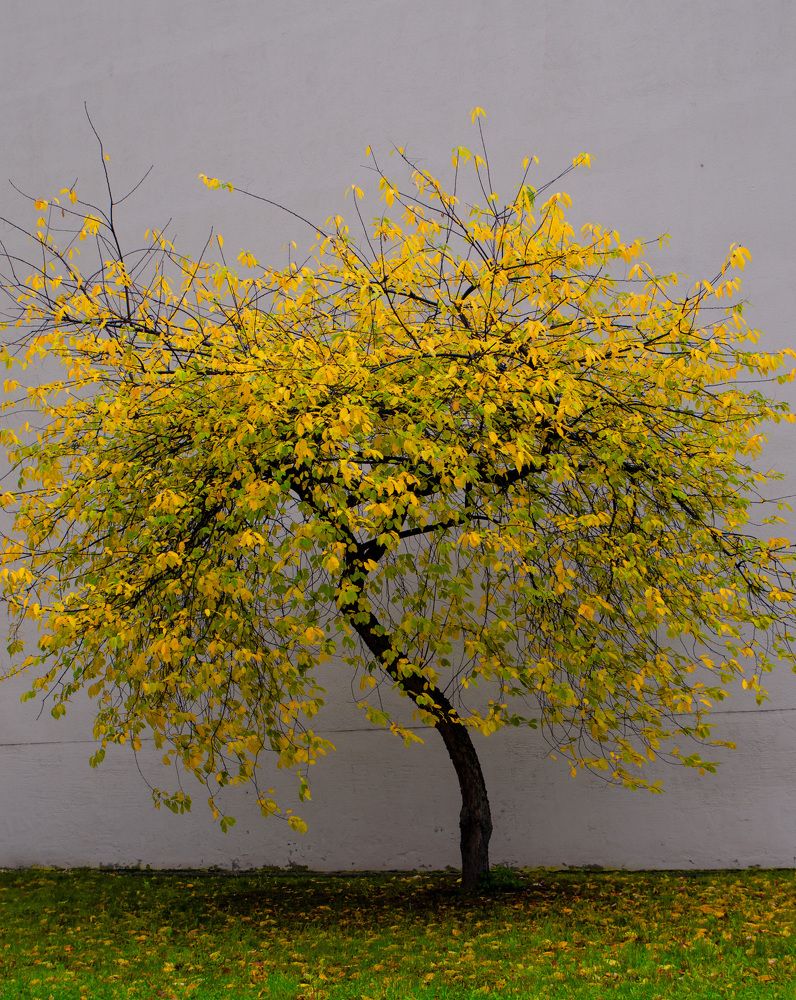 Photograph by Oleg Yashin