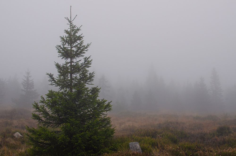 Photograph by Oleg Yashin