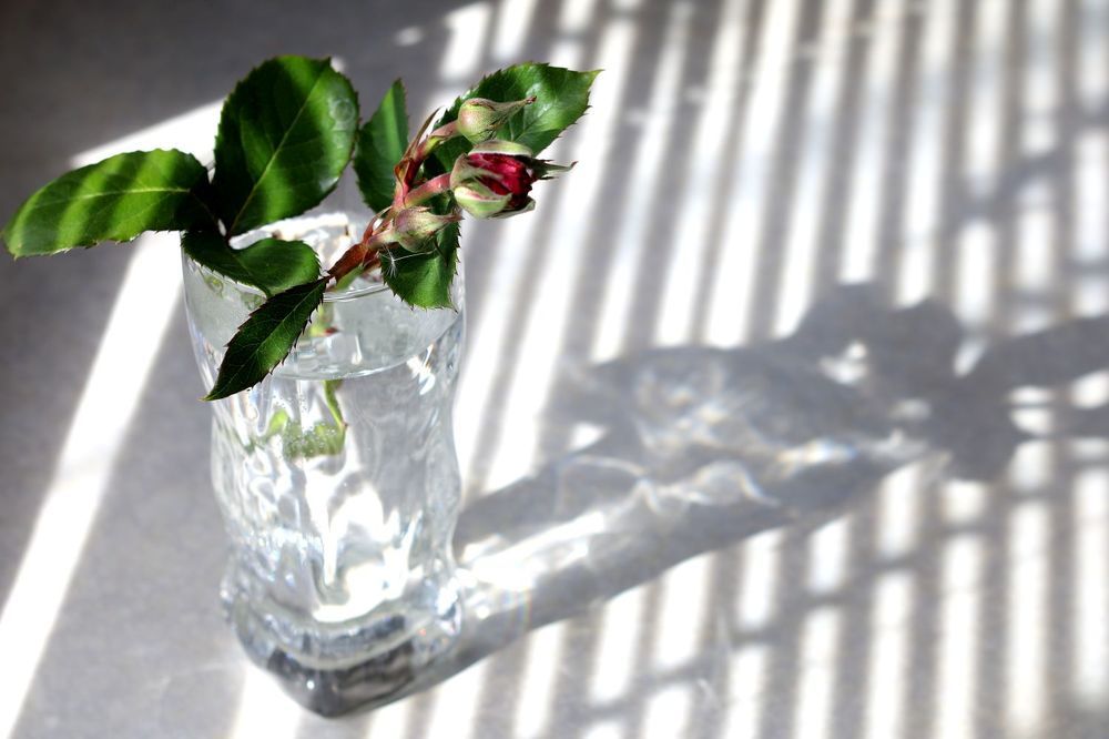 Photograph by Юрий Варюхин