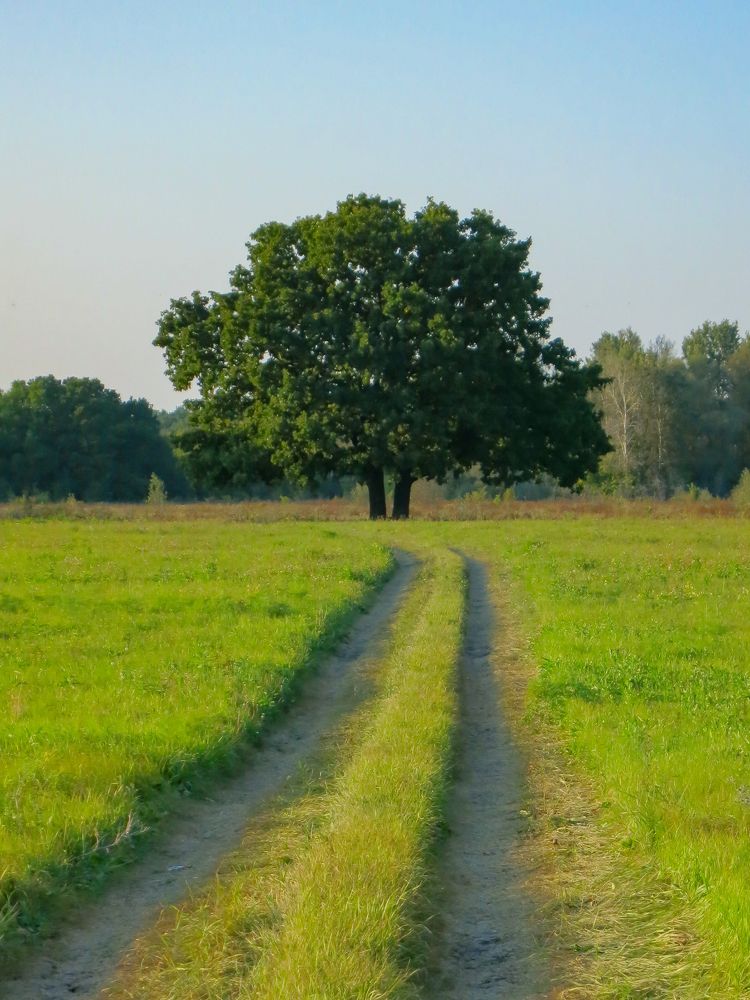 Photograph by Сергей Конюшенко