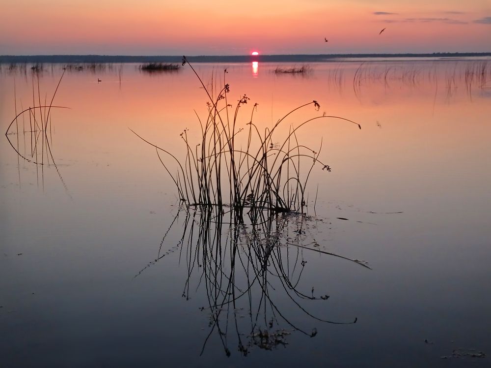 Фотография автора Кухта Мария