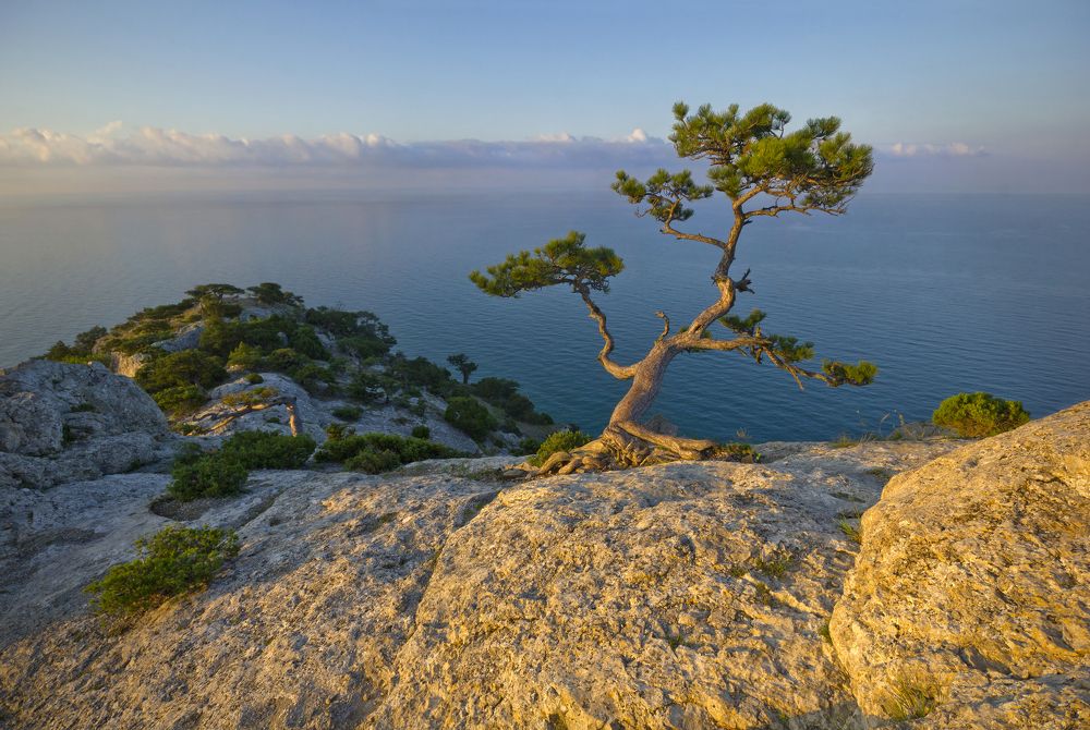 Фотография автора Кухта Мария