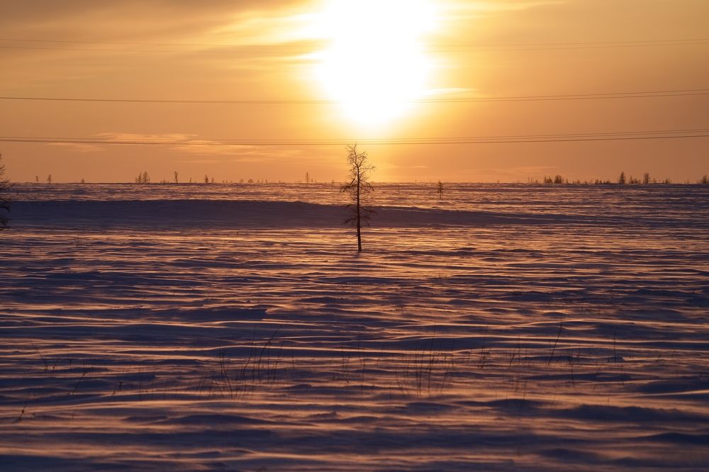 Фотография автора Viktoriya Kim