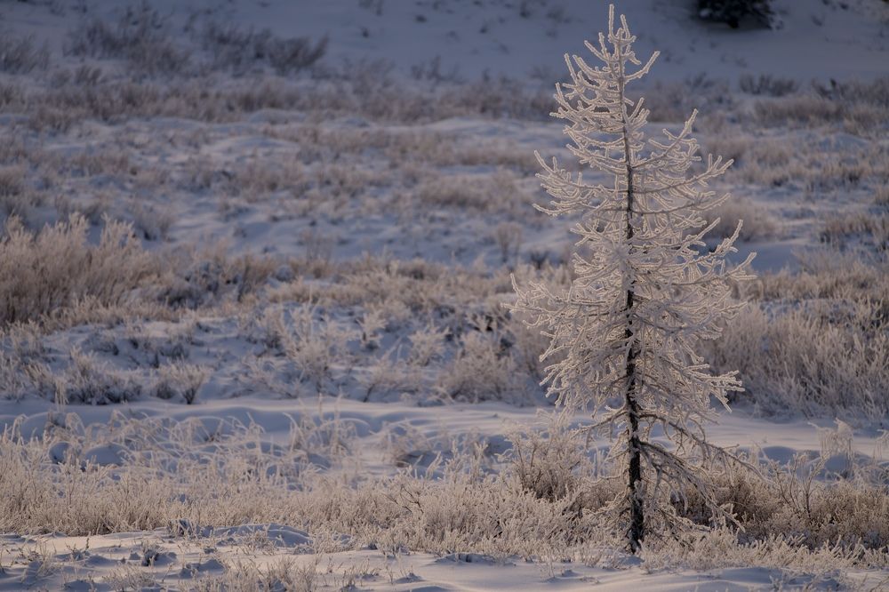 Фотография автора Viktoriya Kim