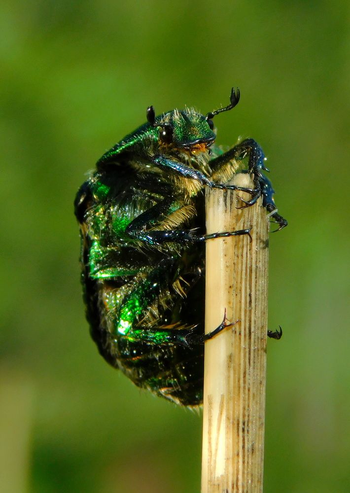 Photograph by Сергей Чеченов