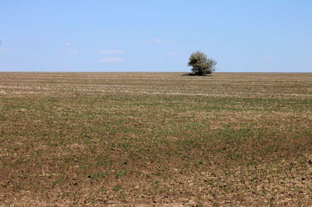 Photograph by Юрий Варюхин