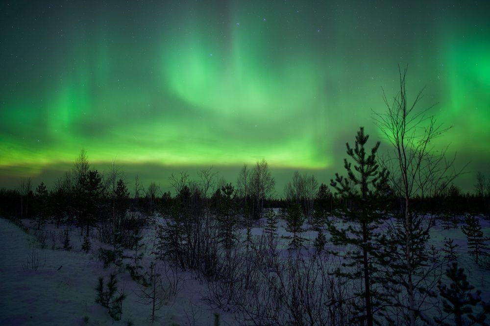 Фотография автора Viktoriya Kim