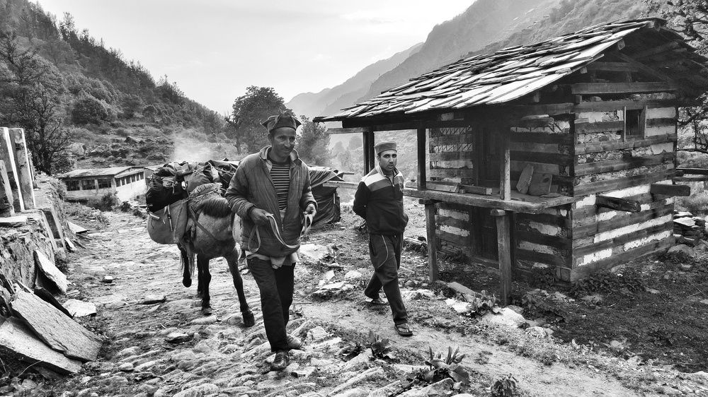 Фотография автора Saptaparna Mukherjee