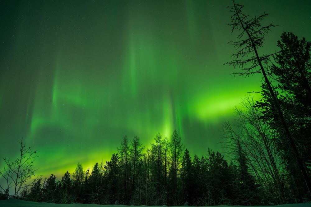 Фотография автора Viktoriya Kim