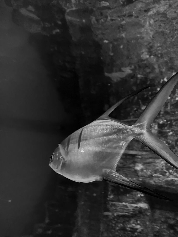 Photograph by Анастасия Маркина
