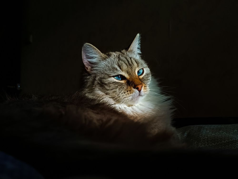 Фотография автора Ola La