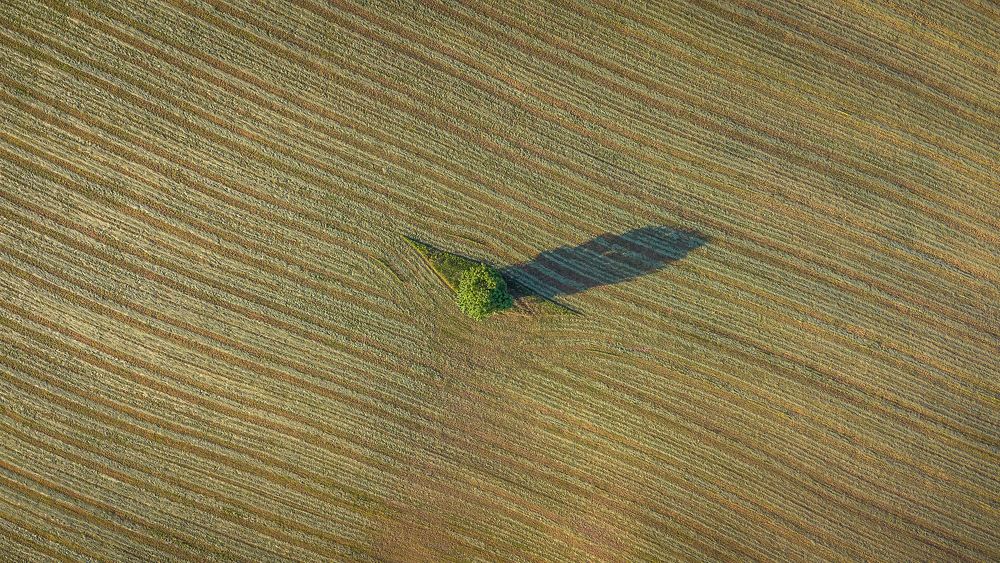 Фотография автора Шуплецов Алексей