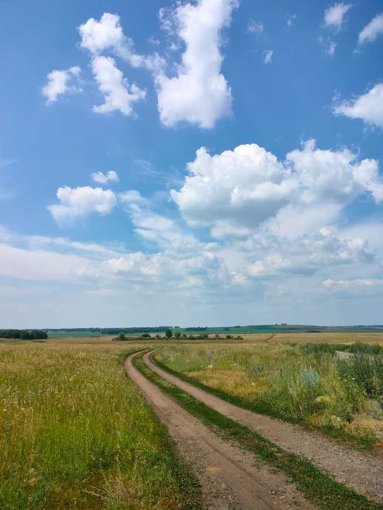 Photograph by Darya Dolinina