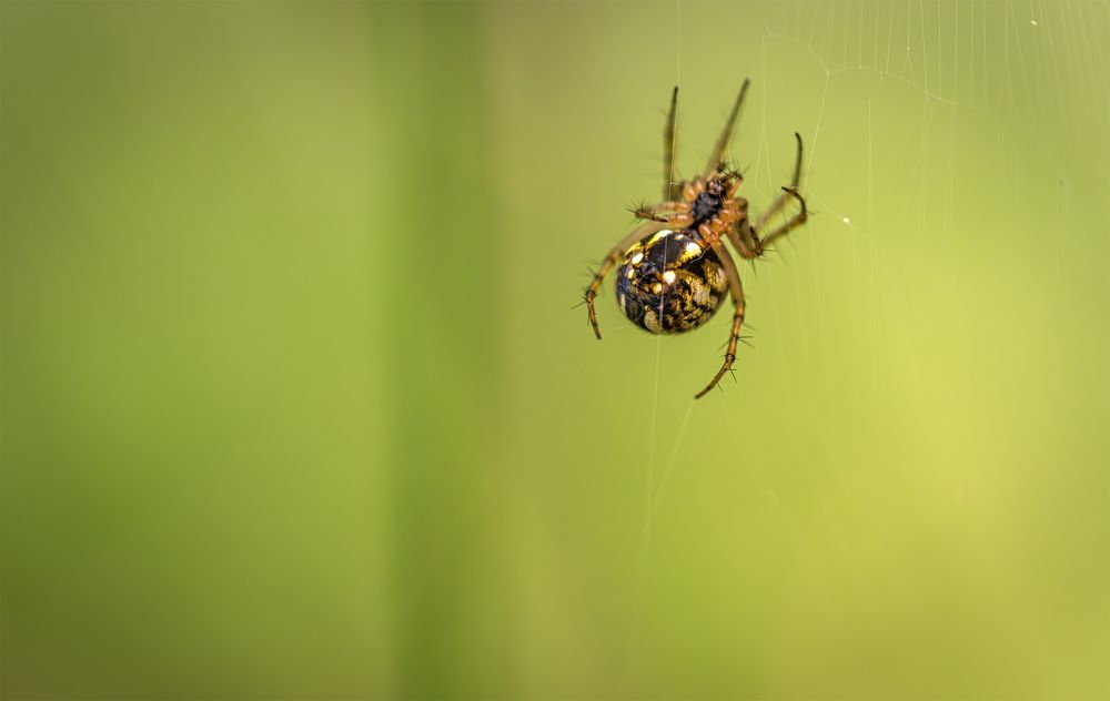Photograph by Sıtkı Aksoy