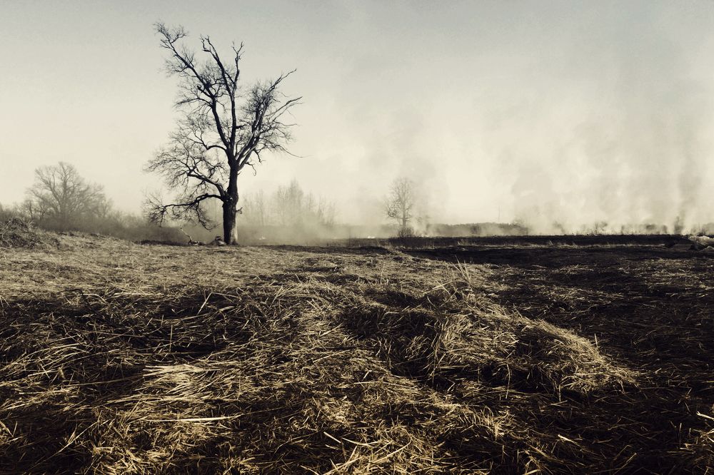 Photograph by Сергей Феофанов