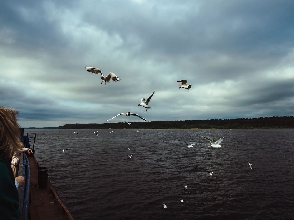 Photograph by Рязанов Юрий