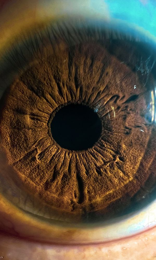 Photograph by amaz avr