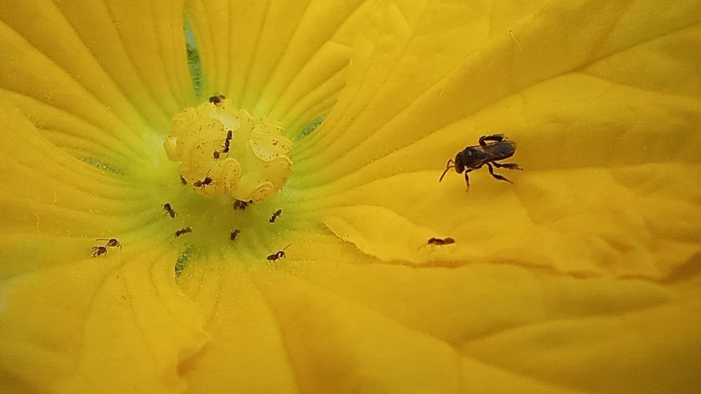 Photograph by Anantharajha Manoj