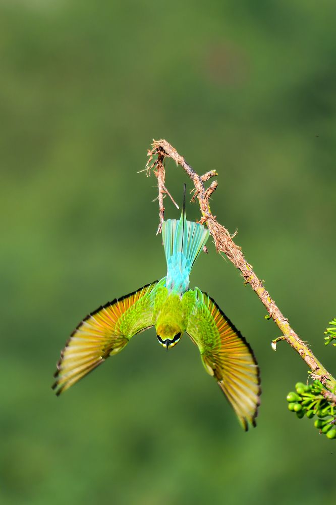 Фотография автора Sriram kumar