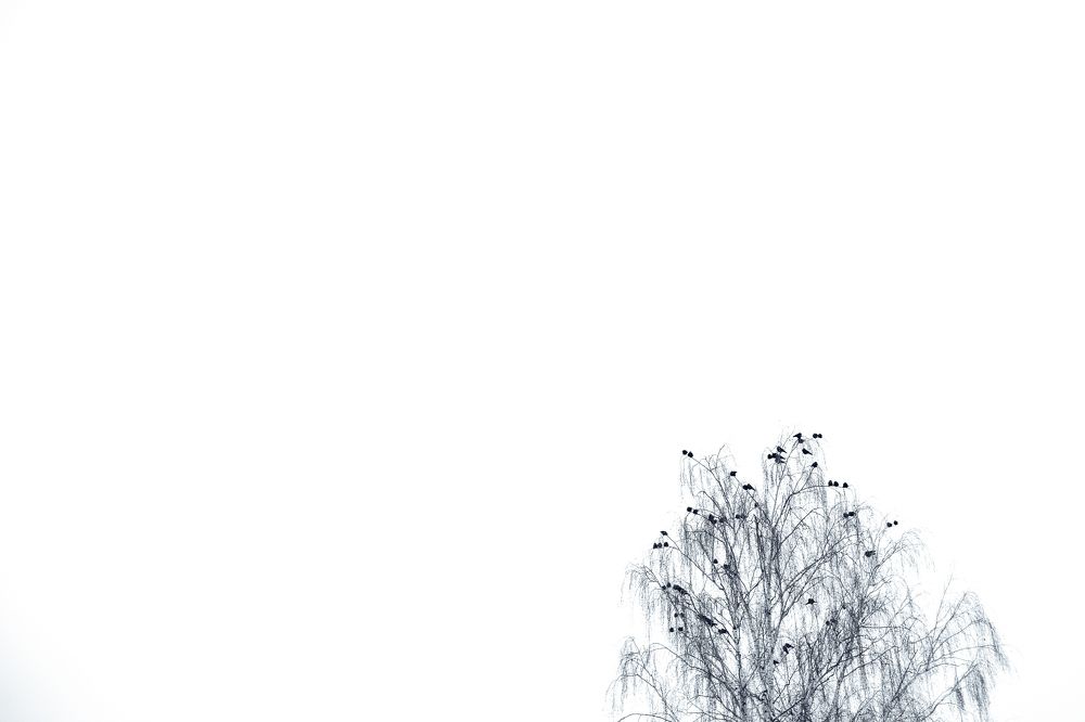 Photograph by Натали Захарова (Тай)