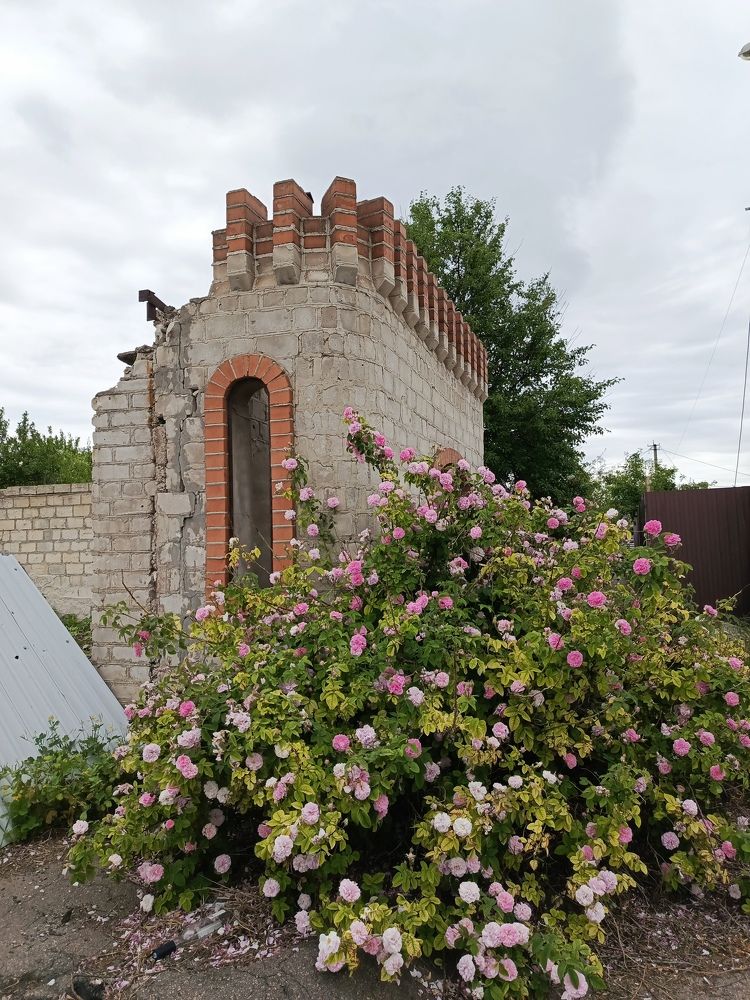 Photograph by Татьяна Пальчикова