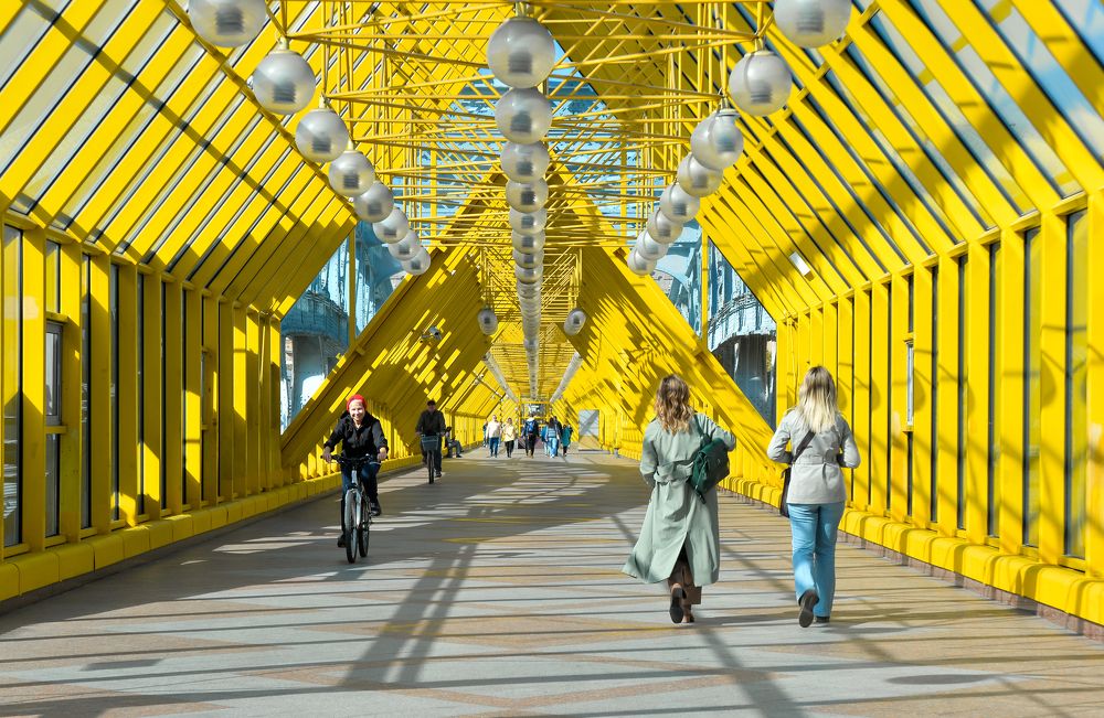 Photograph by Olga Mendosa