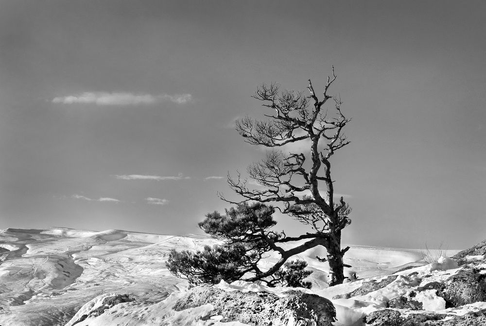 Photograph by  Владимир