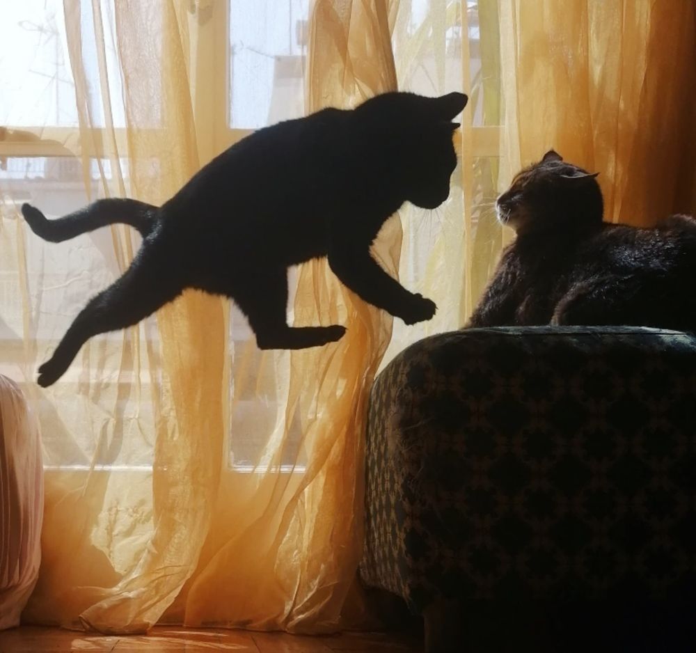 Photograph by Maria Chami