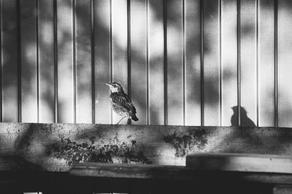 Photograph by Андрей Астафьев