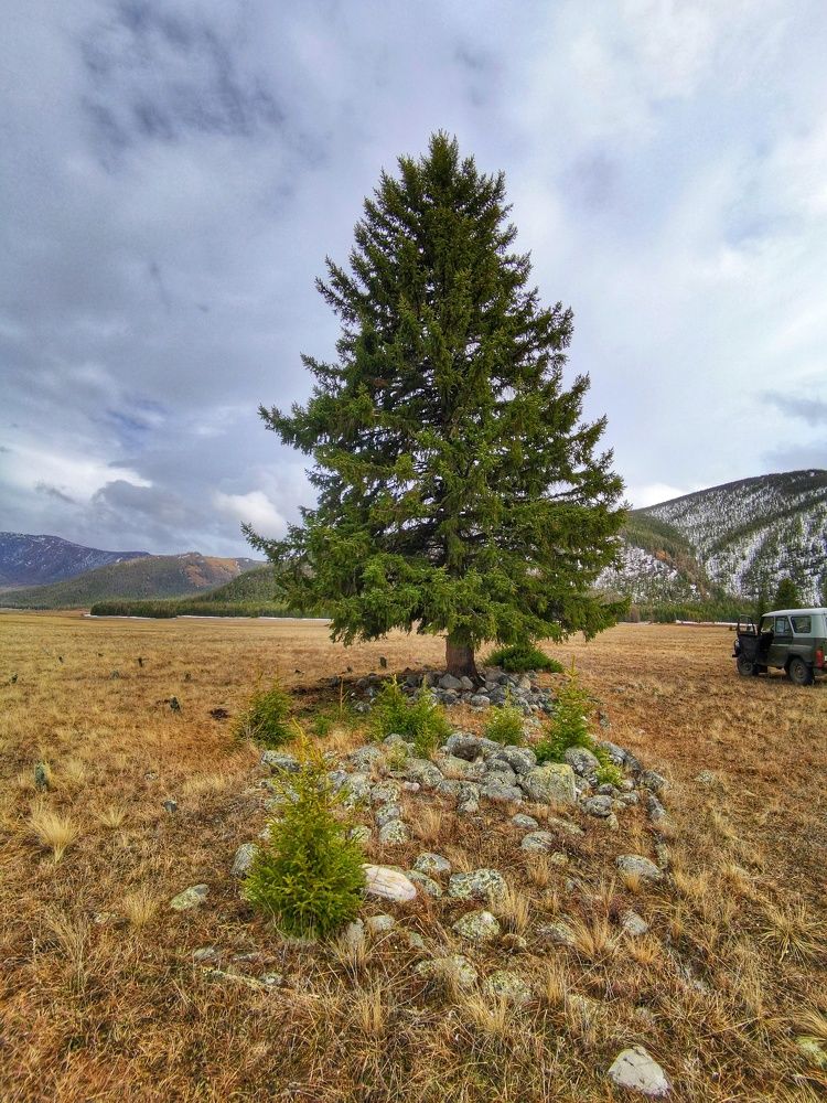 Photograph by Регина Джумалиева