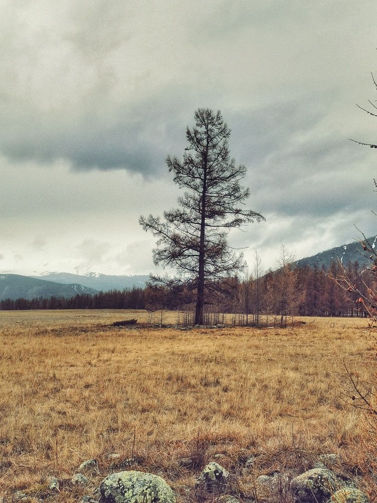 Photograph by Регина Джумалиева