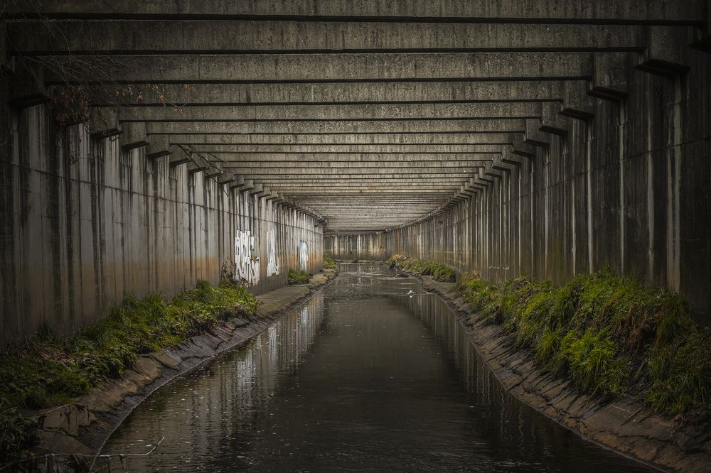 Photograph by Damian Cyfka