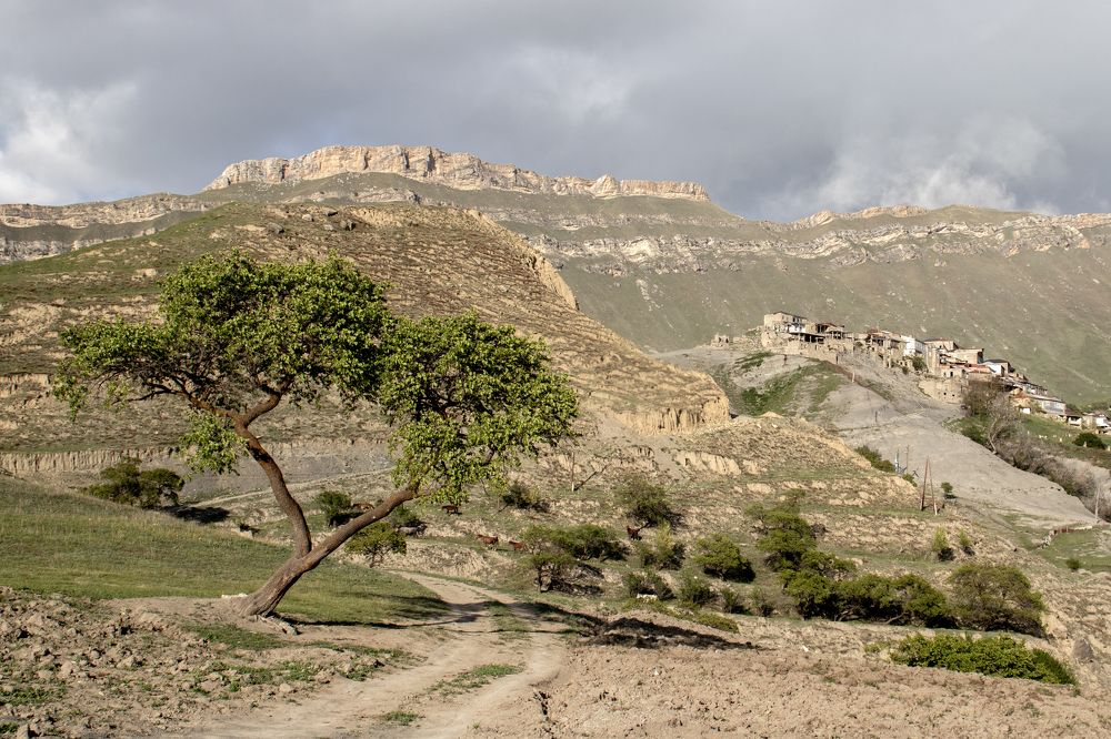 Photograph by Владимир Бузов