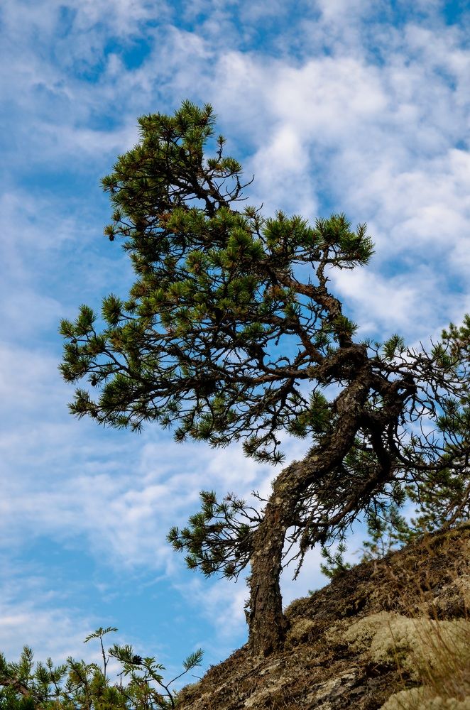 Photograph by Alexey S