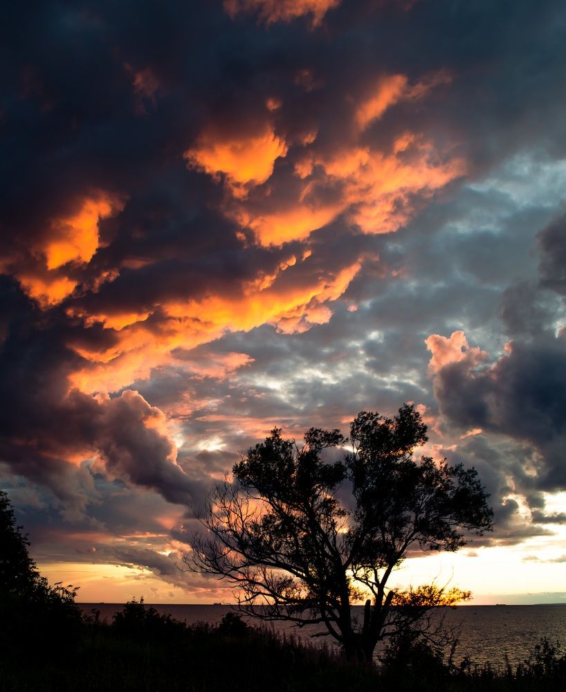 Photograph by Alexey S