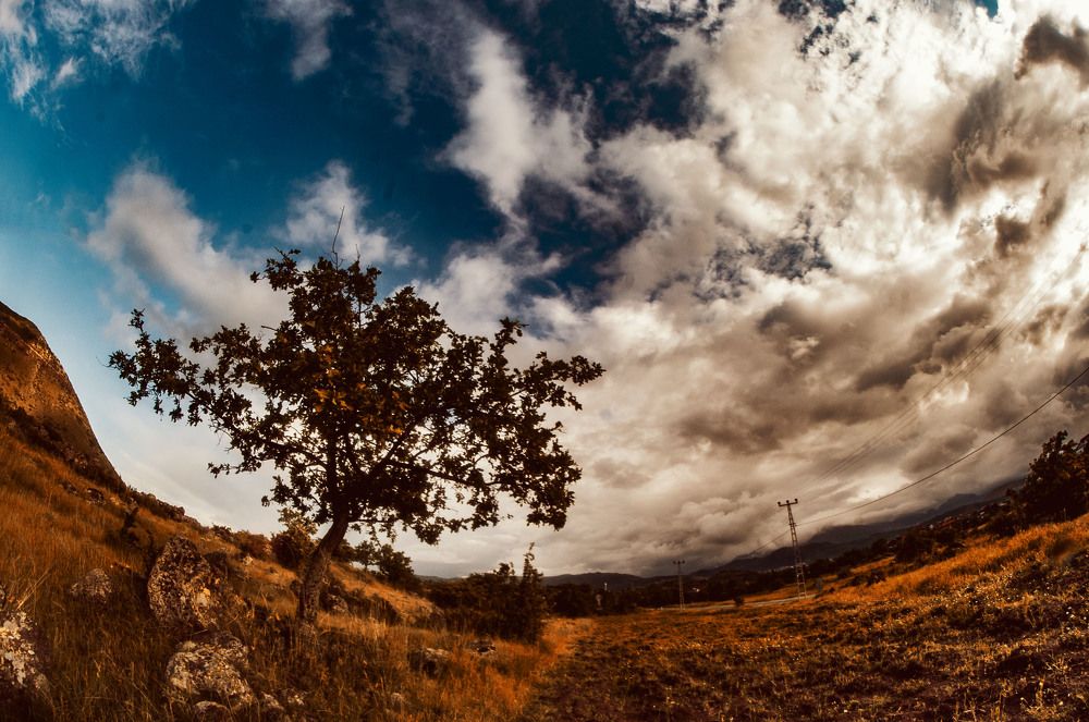 Photograph by DAMOUN POURNEMATI