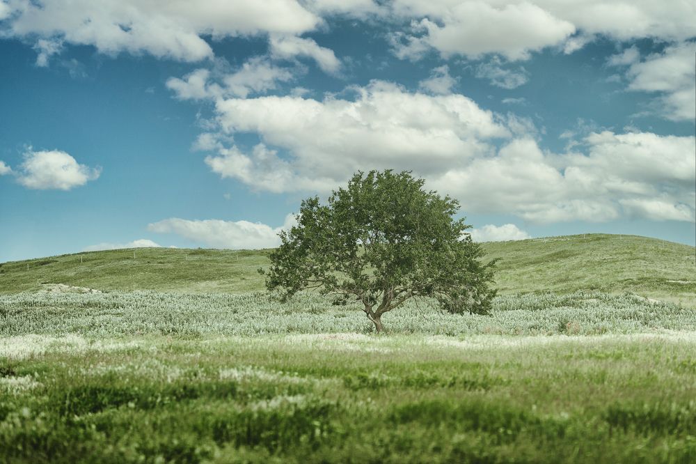 Photograph by Елена Власова