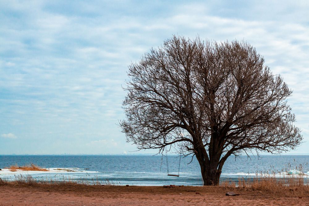 Photograph by Ирина Антонова