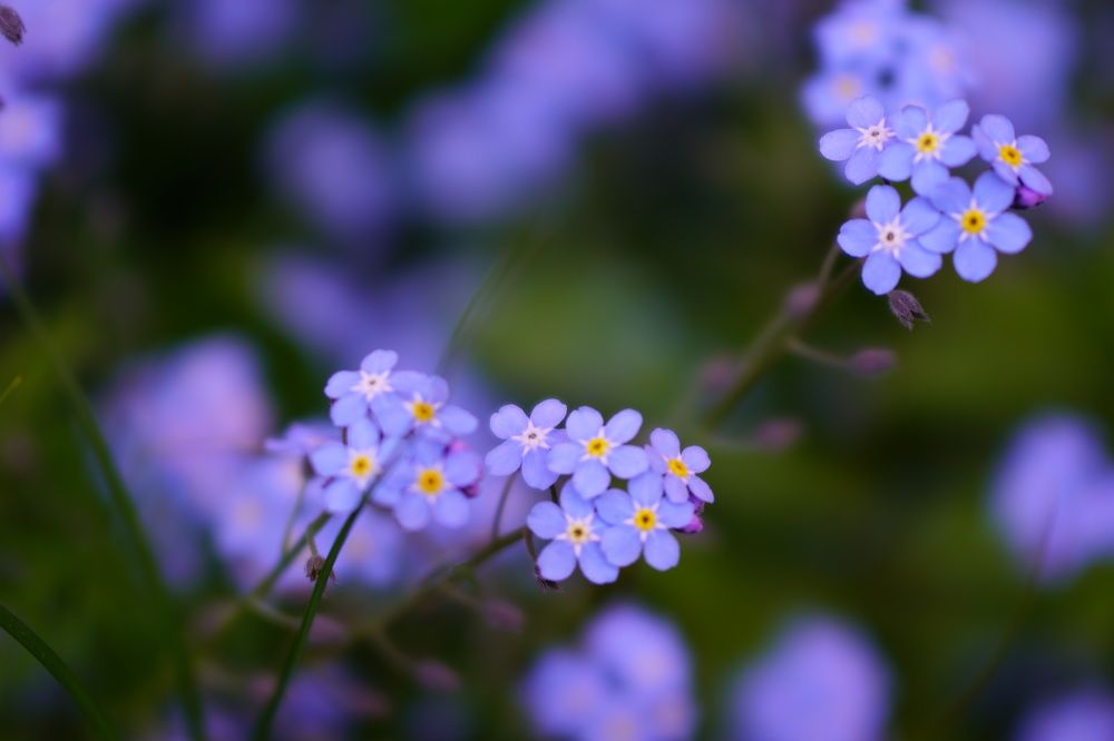 Photograph by Александр Кизим