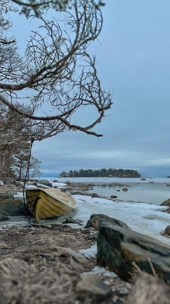 Фотография автора Elga Shtern