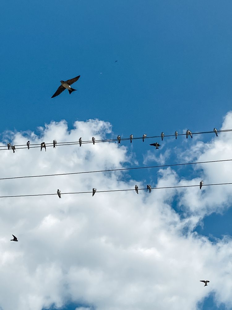 Photograph by Анна Леонова