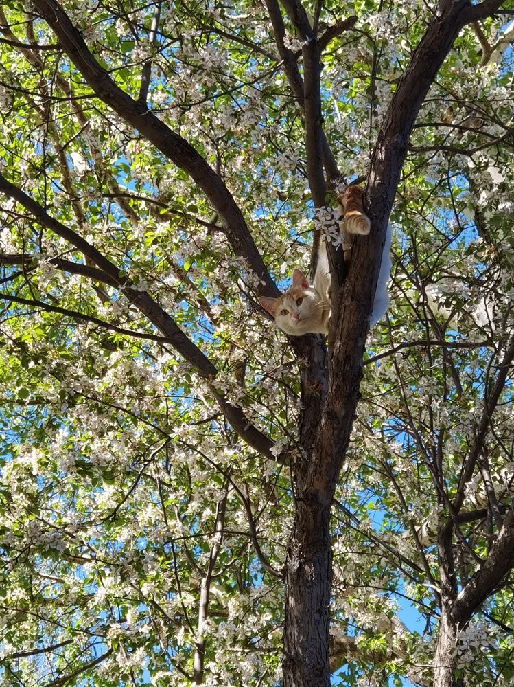 Photograph by Назлыгуль Малашова