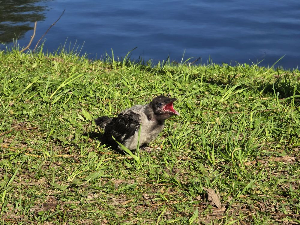 Photograph by Татьяна Дмитриева