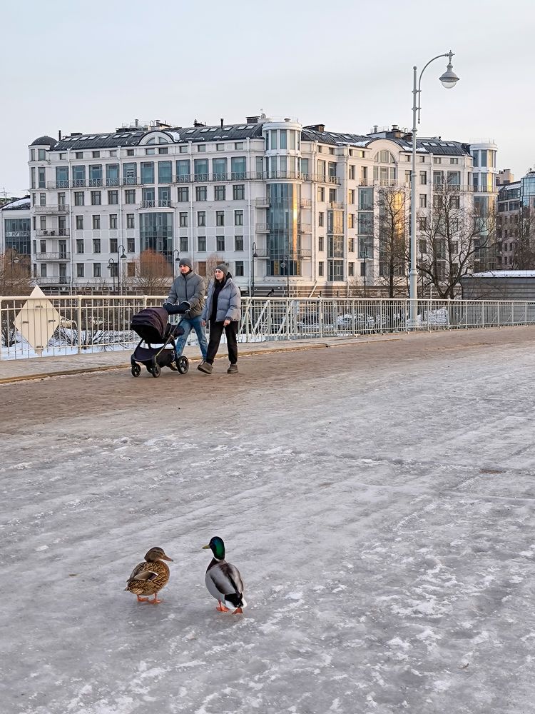 Photograph by Шейко Анна