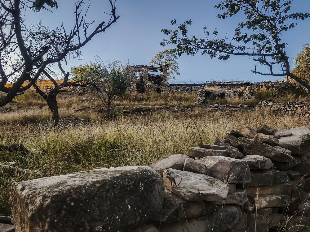 Photograph by Анна Леонова