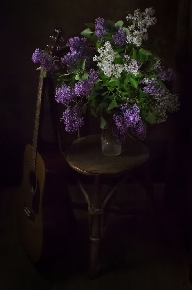 Photograph by Хвойнова Елена